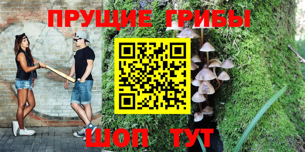 Псилоцибиновые грибы Cubensis  Вход с VPN  Галлюциногенные грибы GOLDEN TEACHER  Кубинка 